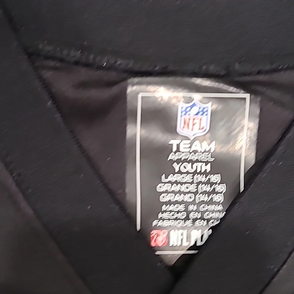 NFL Pittsburgh Steelers Jersey Size Large 14/16